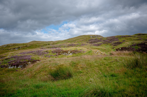 An image depicting the trail Menstrie Glen and Lossburn Reservoir and its surrounding area.