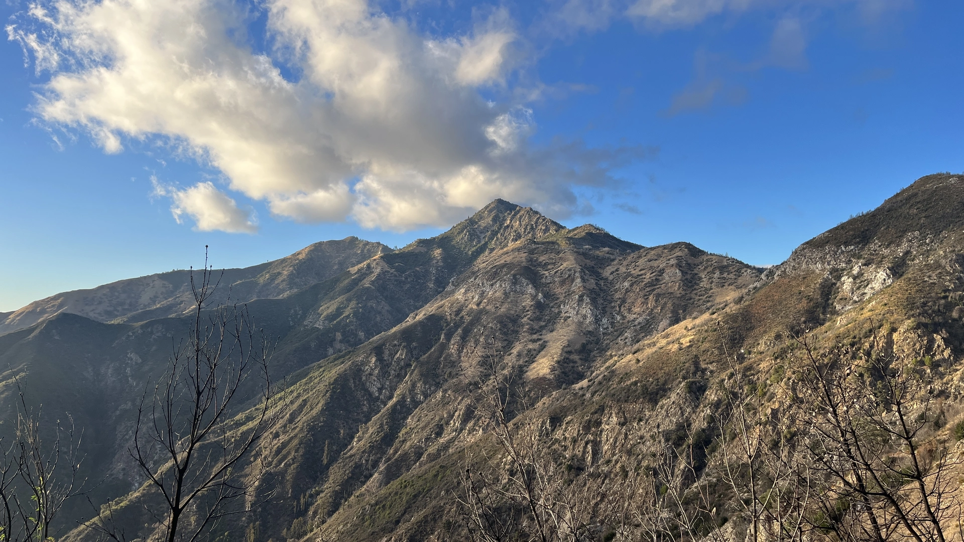 An image depicting the trail Stone Ridge Trail and its surrounding area.