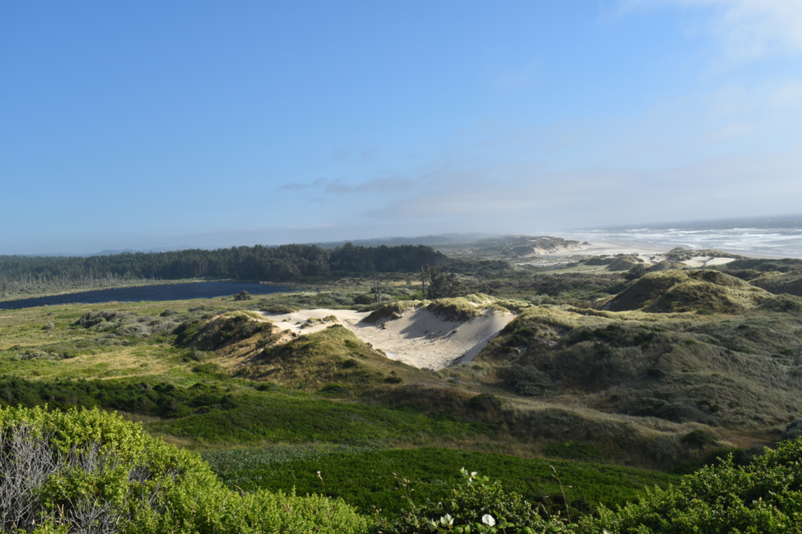 An image depicting the trail Sutton Creek Loop Trail and its surrounding area.