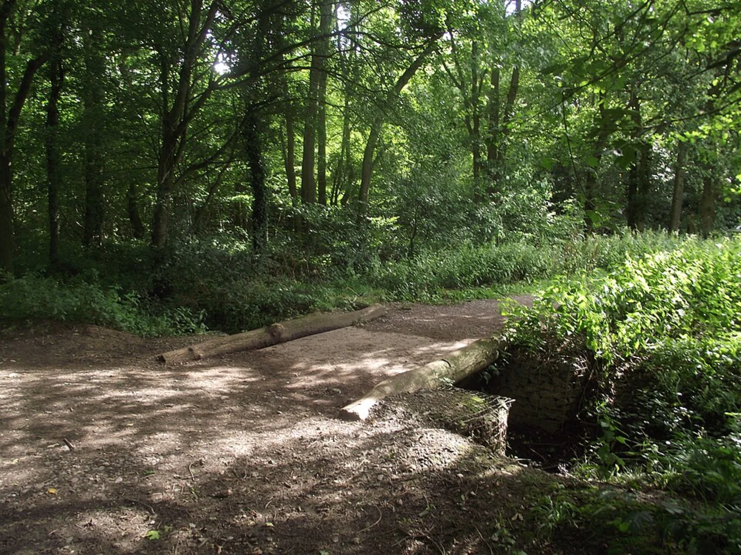 An image depicting the trail Sharnford West Loop via Burbage Wood and its surrounding area.