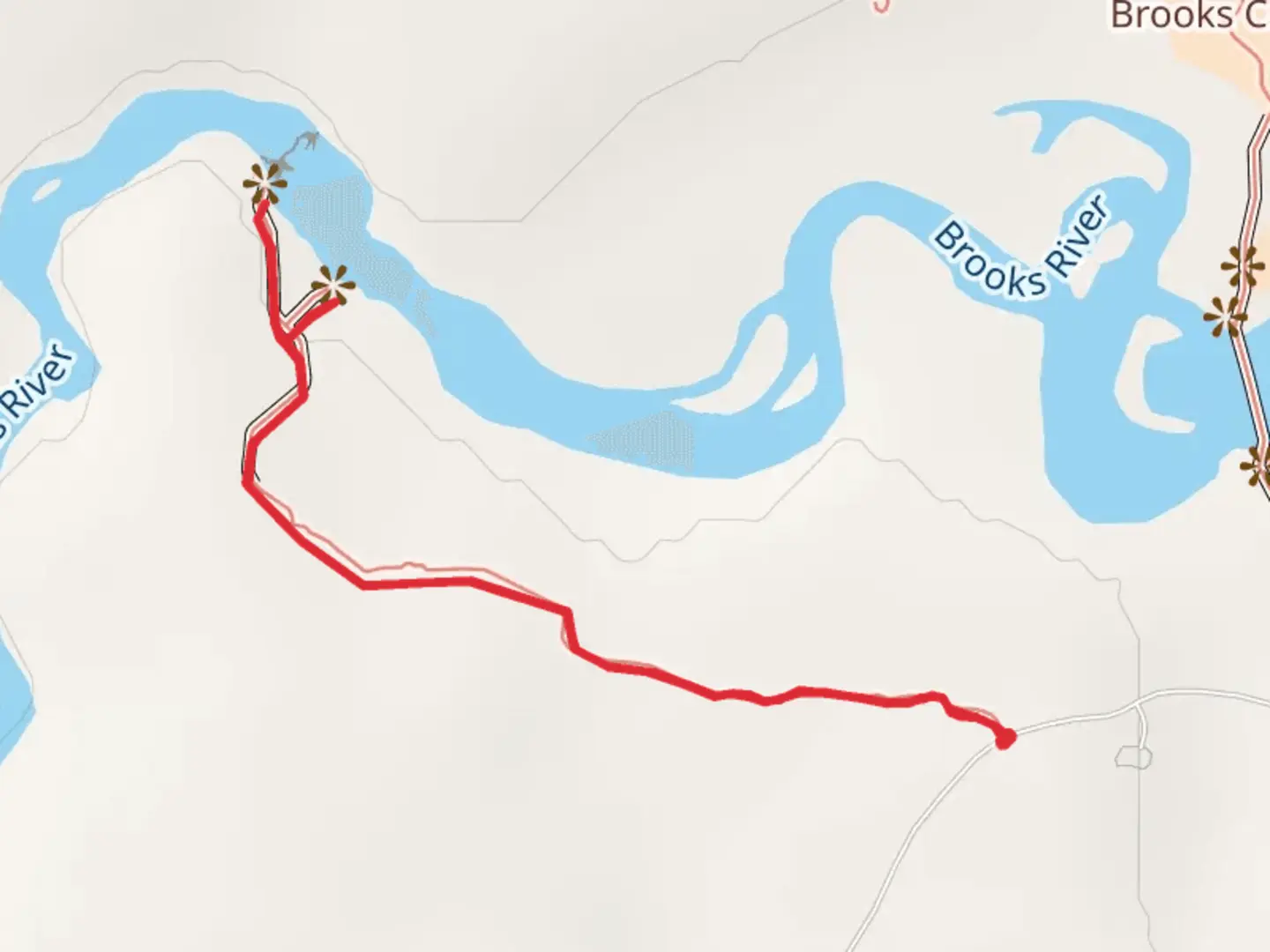 An image depicting the trail Riffles Platform and Brooks Falls Walk and its surrounding area.