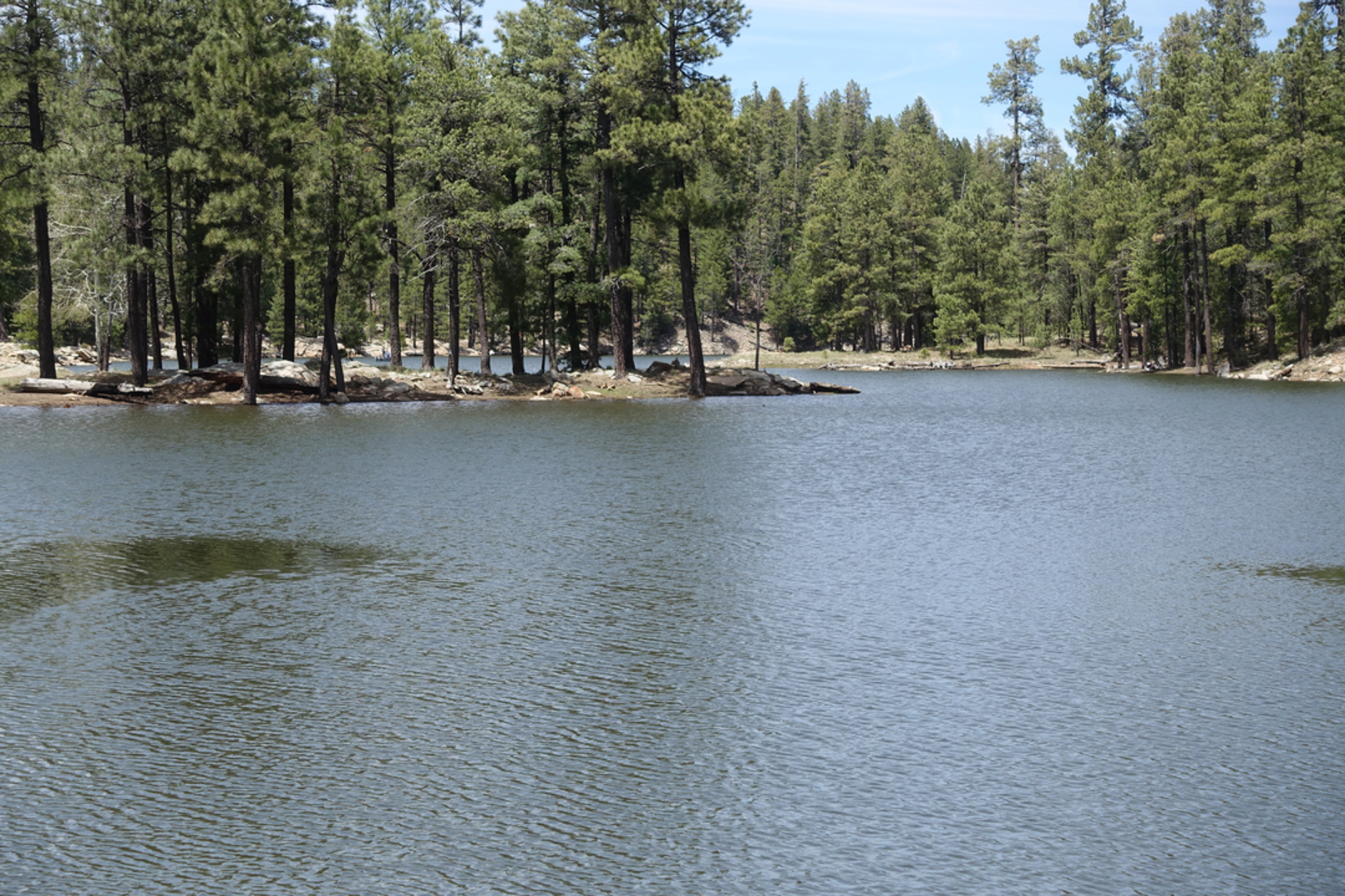 An image depicting the trail Babe Haught Trail and its surrounding area.