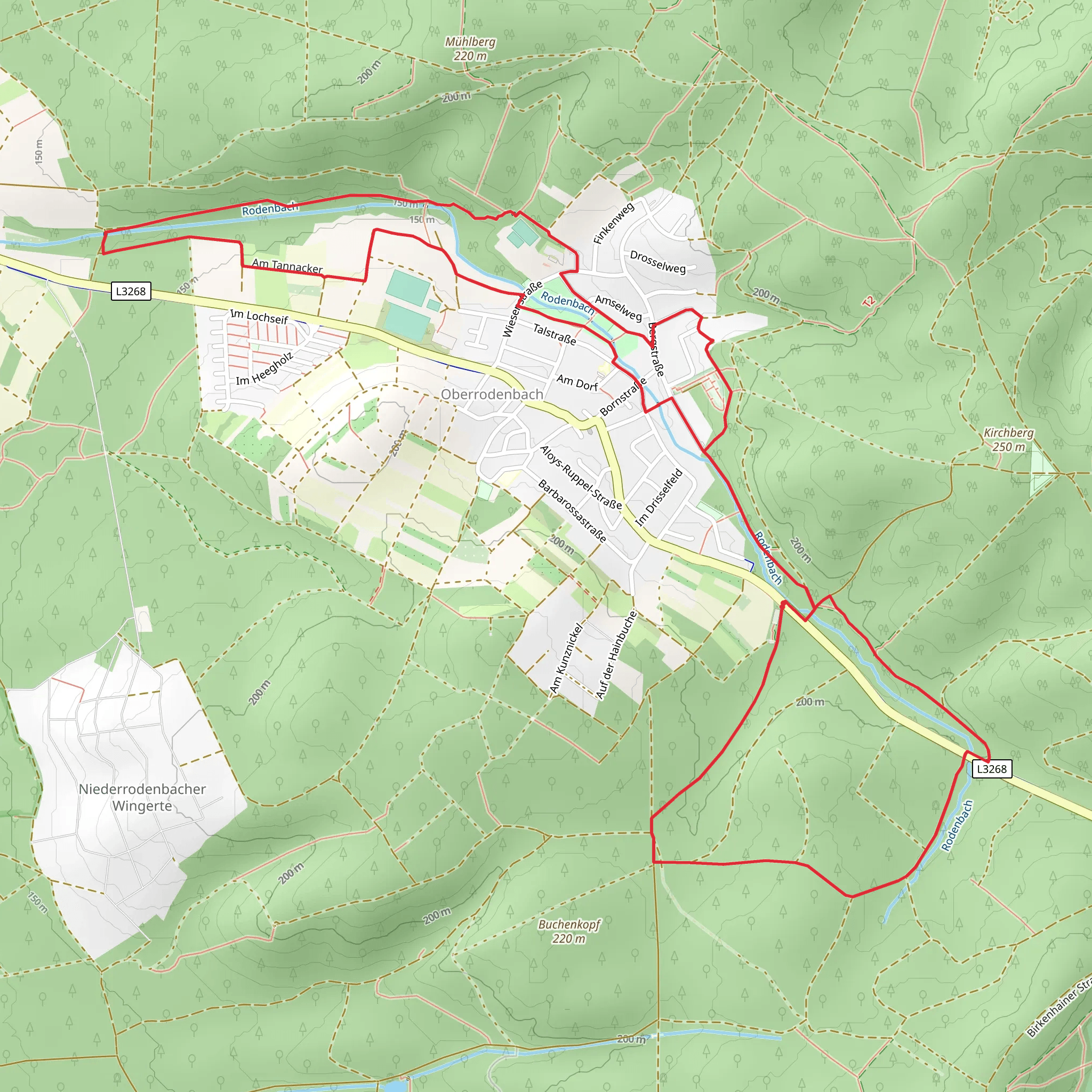 Rodenbach - Rundwanderweg Libelle and Eule mobile static map