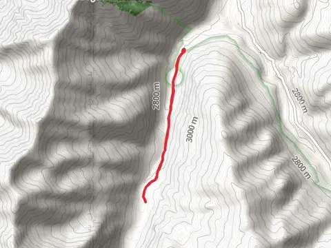 Conundrum Creek Short Trail