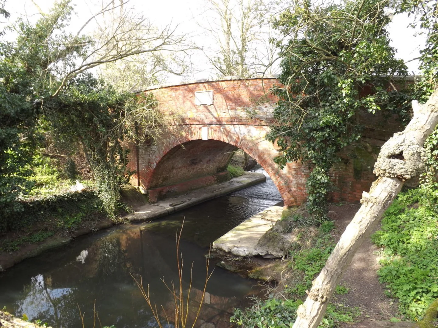 An image depicting the trail Eye Town Moor and Abbey Bridge Loop and its surrounding area.