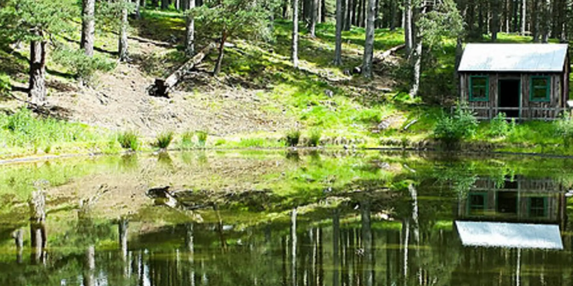 An image depicting the trail Newtonmore Path - Milk Cow Trail and its surrounding area.