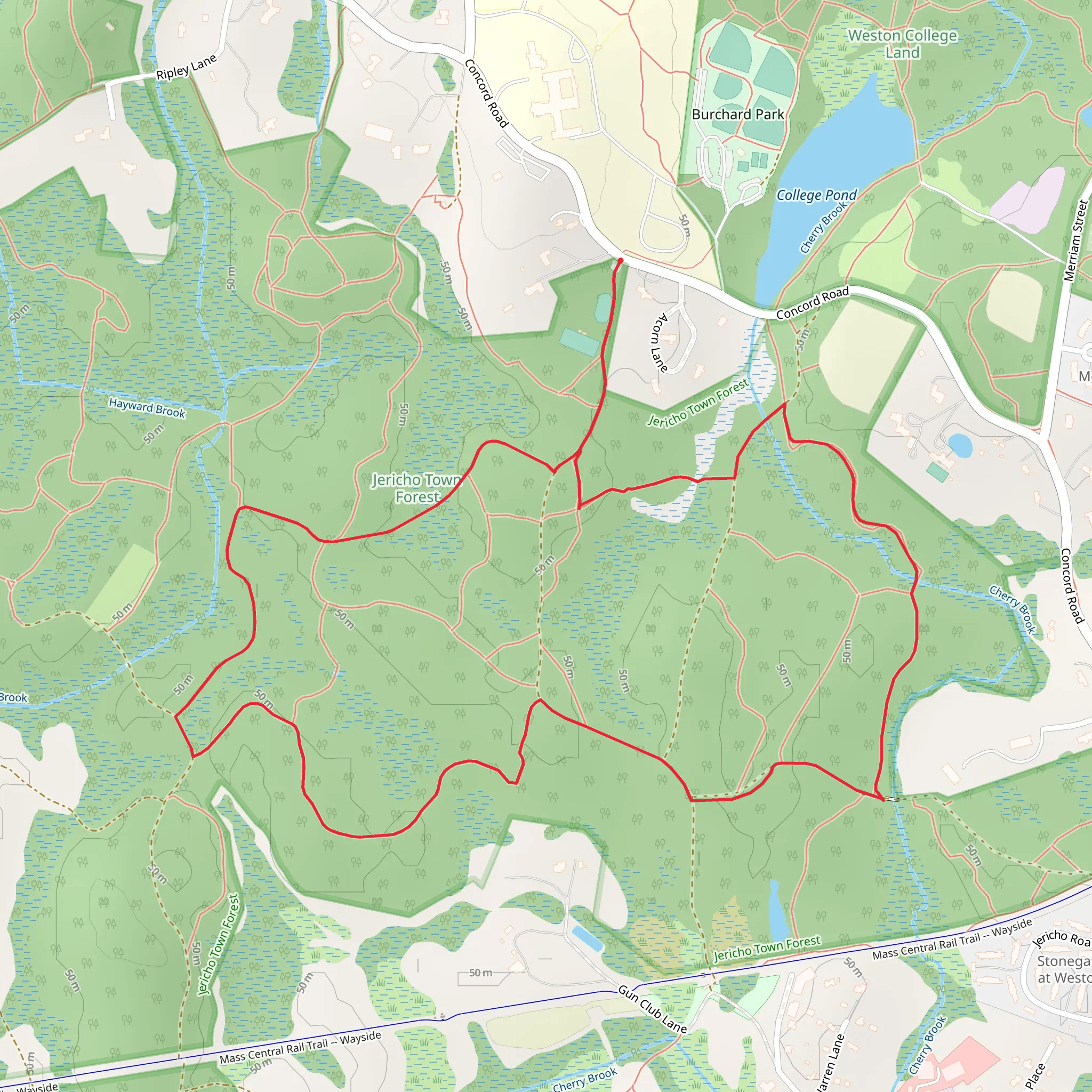 Cherry Brook and Hayward Brook Loop Trail mobile static map