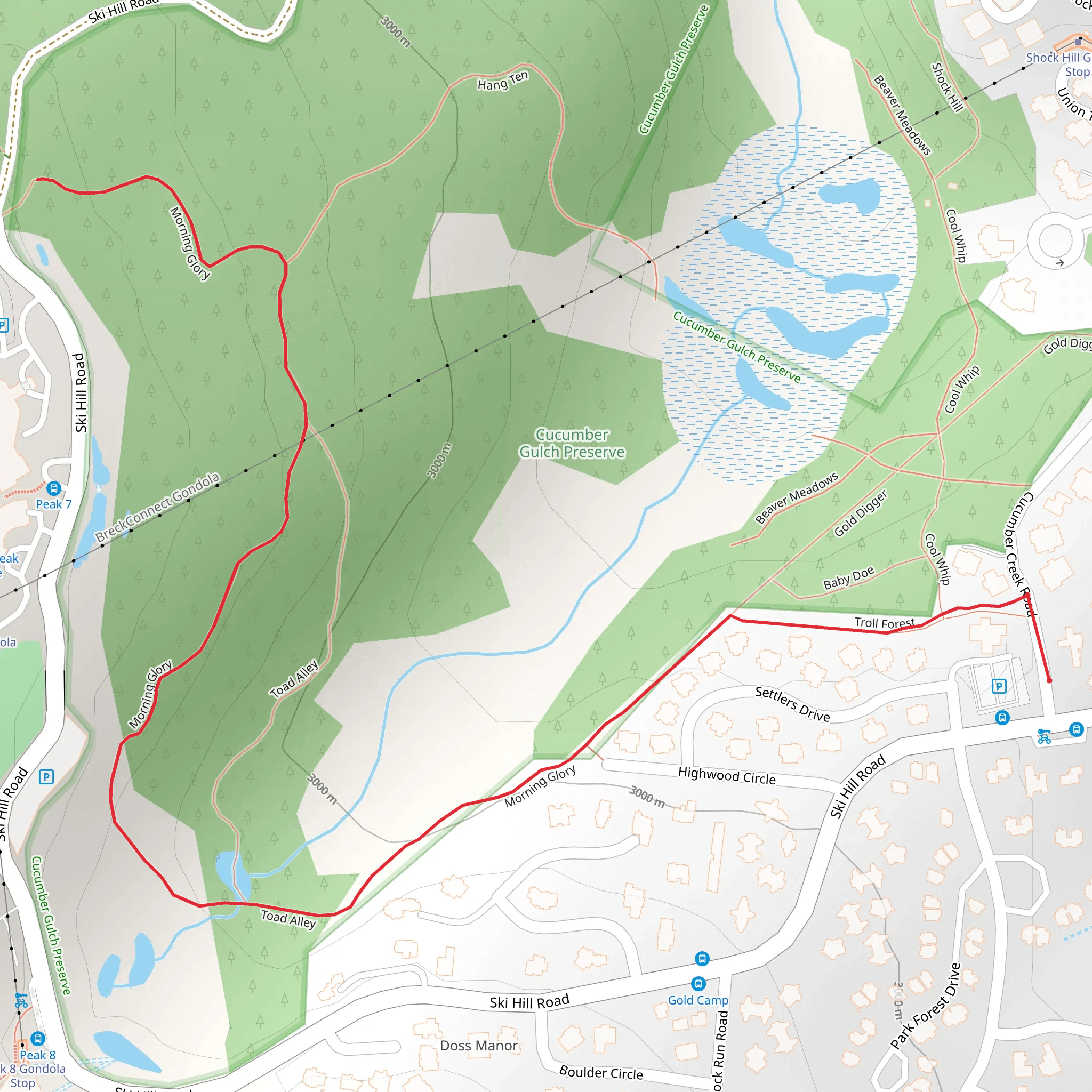 Morning Glory via Baby Doe mobile static map