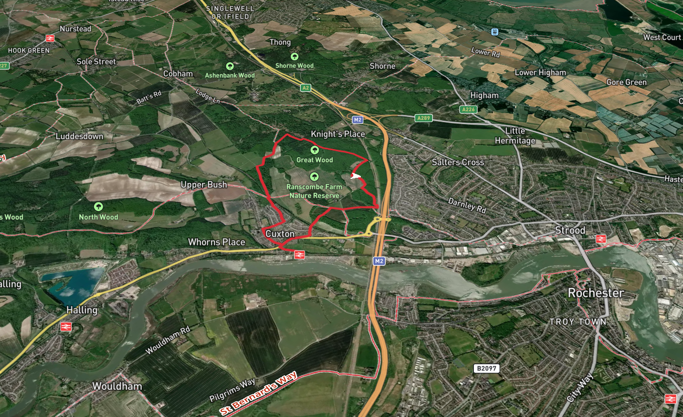 Mill Hill and Great Wood Loop