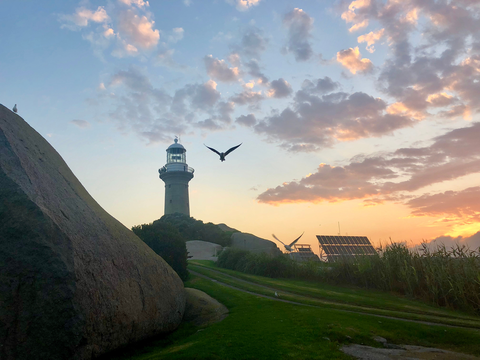 Montague Island Track