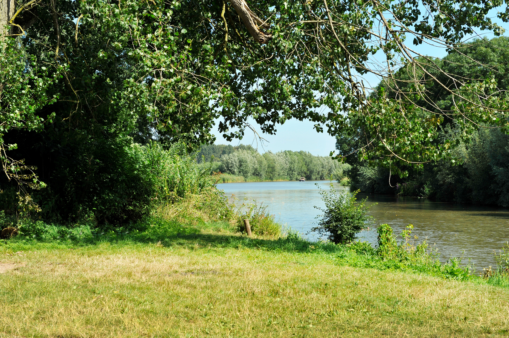 An image depicting the trail De Vlinder and Linge via Konings Weg and its surrounding area.