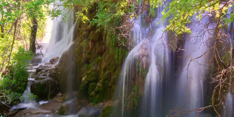 An image depicting the trail Colorado Bend State Park Loop and its surrounding area.