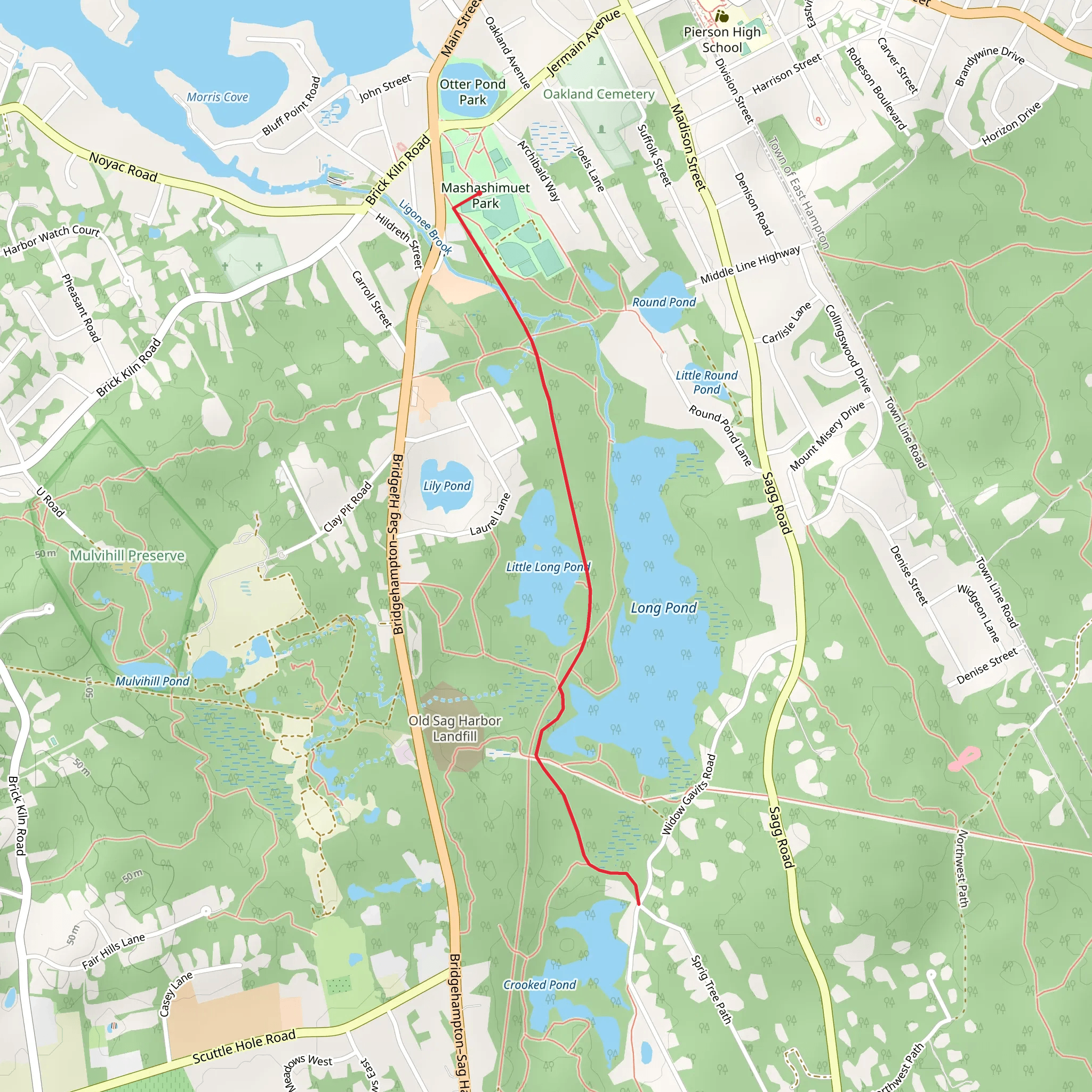 Sprig Tree Path mobile static map