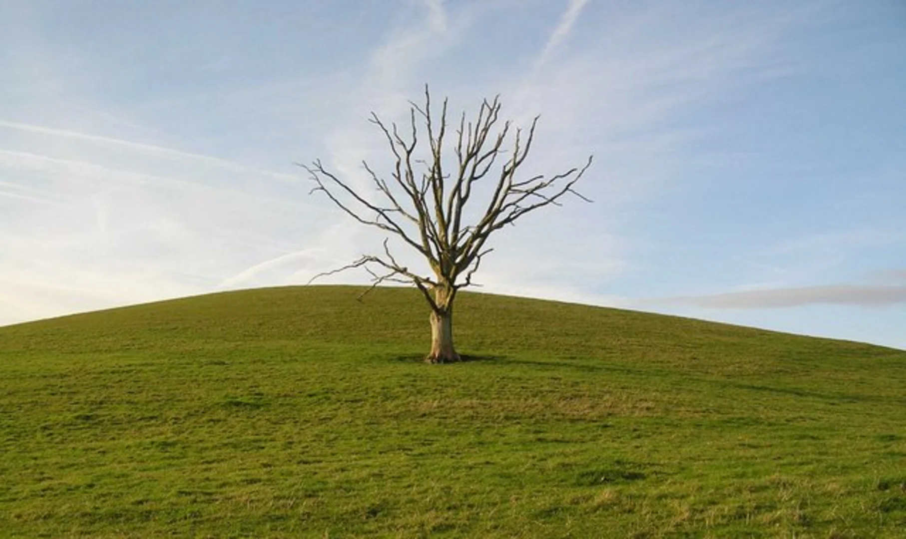 An image depicting the trail Ley Hill and Horner Hill Walk and its surrounding area.