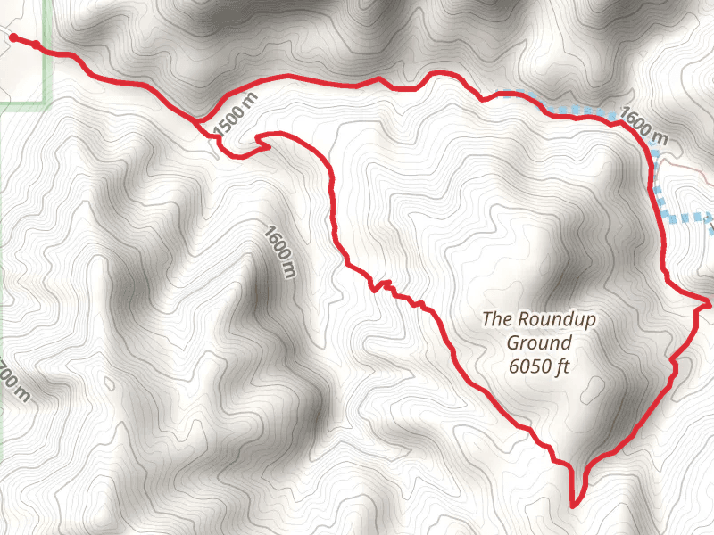 Roundup Ground Trail and Alamo Canyon Loop Trail