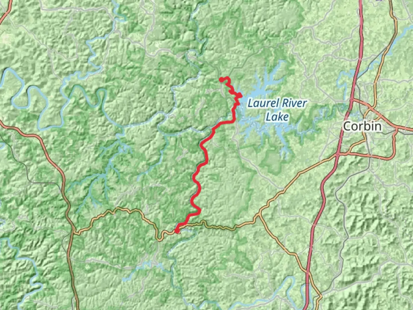 An image depicting the trail Sheltowee Trace Trail and its surrounding area.