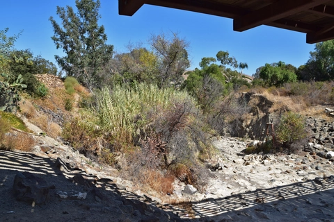 Trabuco Creek Trail - Camino Capistrano