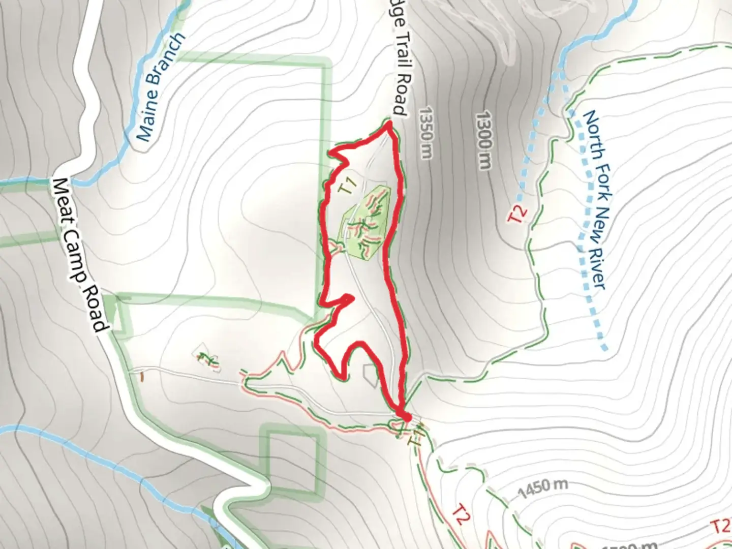 An image depicting the trail Beech Tree Loop Trail and its surrounding area.