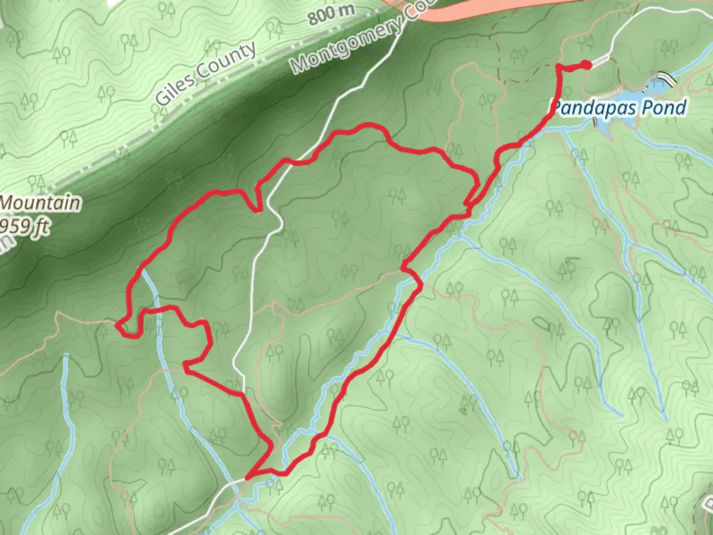 An image depicting the trail Prickley Pear, May Apple and Poverty Creek Loop Trail and its surrounding area.