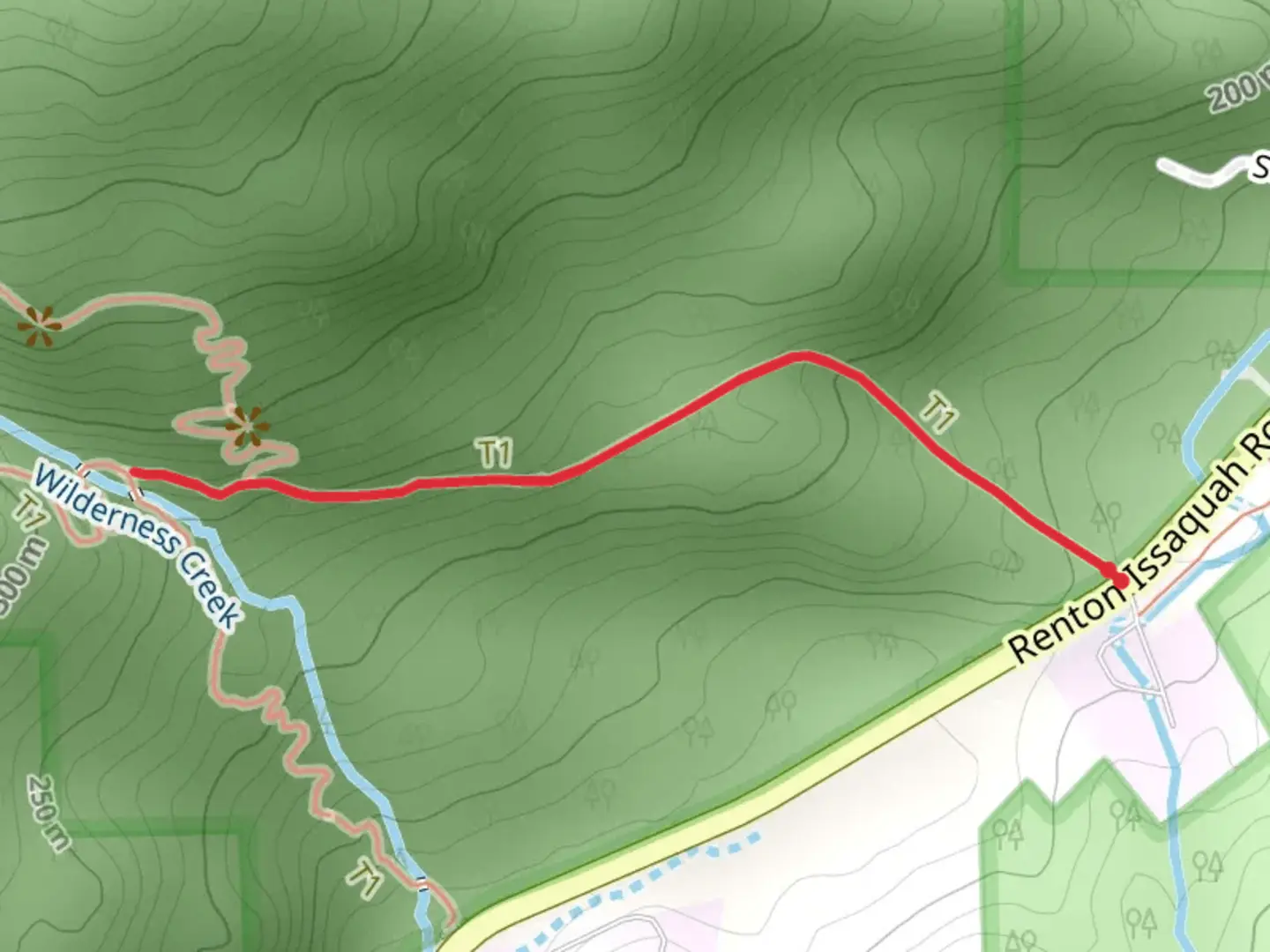 An image depicting the trail Squak Mountain Connector Trail and its surrounding area.