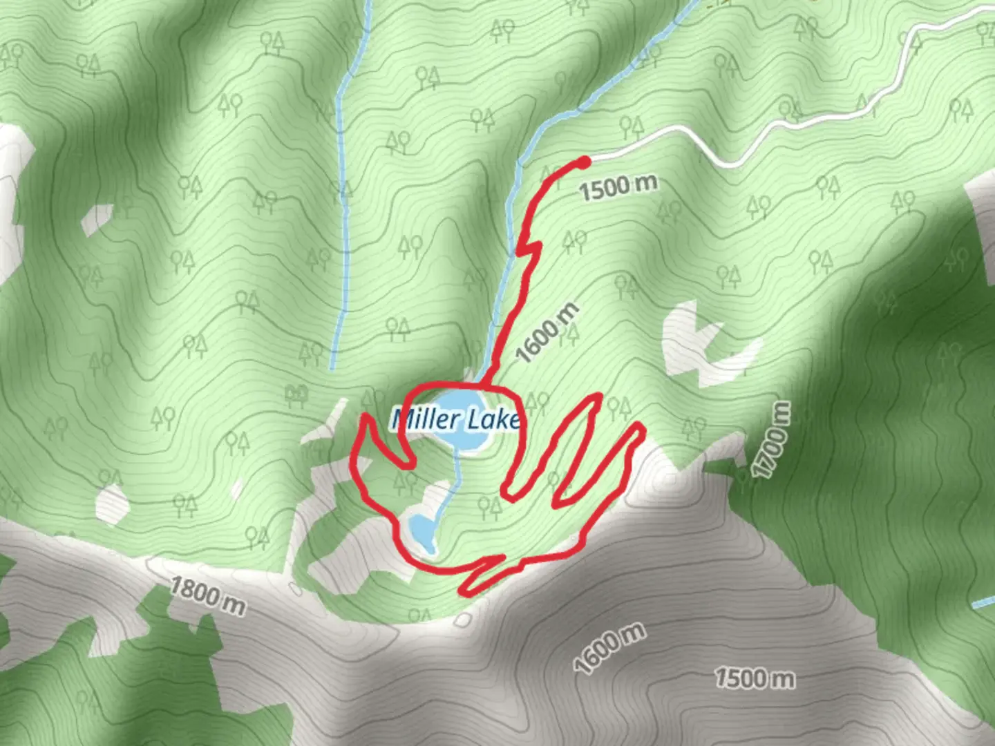 An image depicting the trail Miller Lake Trail and its surrounding area.