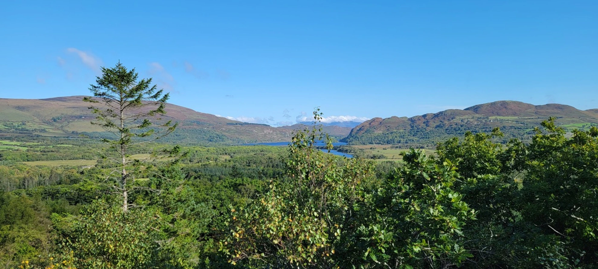 An image depicting the trail Hike Kerry Life Loop and its surrounding area.