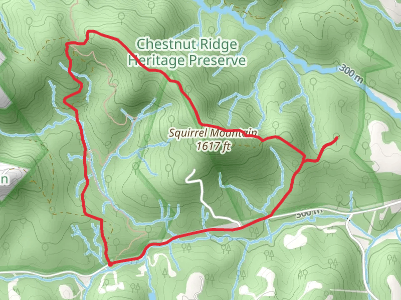 Squirrel Mountain - Oak Grove Road Loop