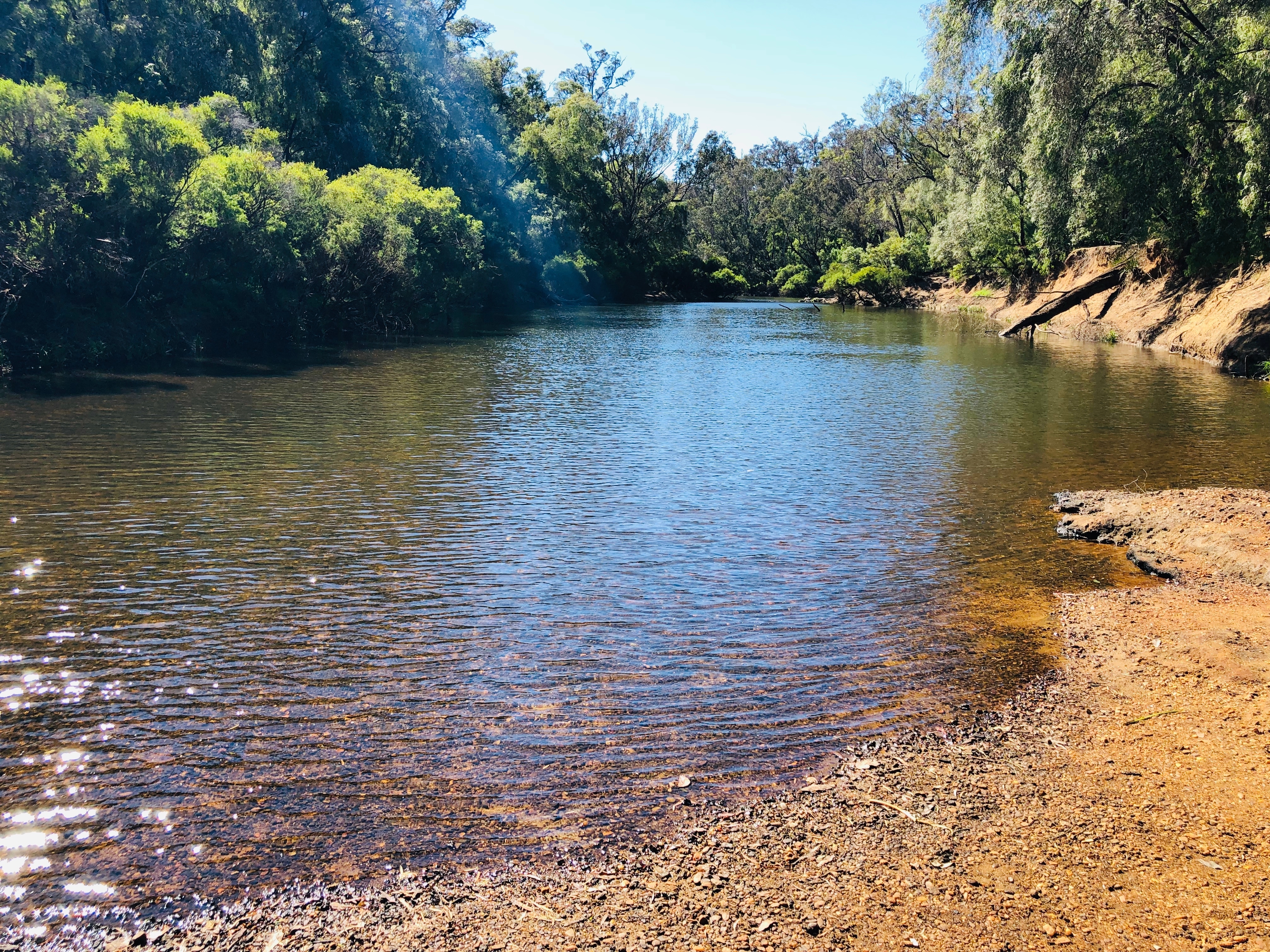 An image depicting the trail Blackwood River National Park and its surrounding area.