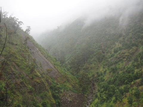 Strath Creek and Tunnel Falls Trail