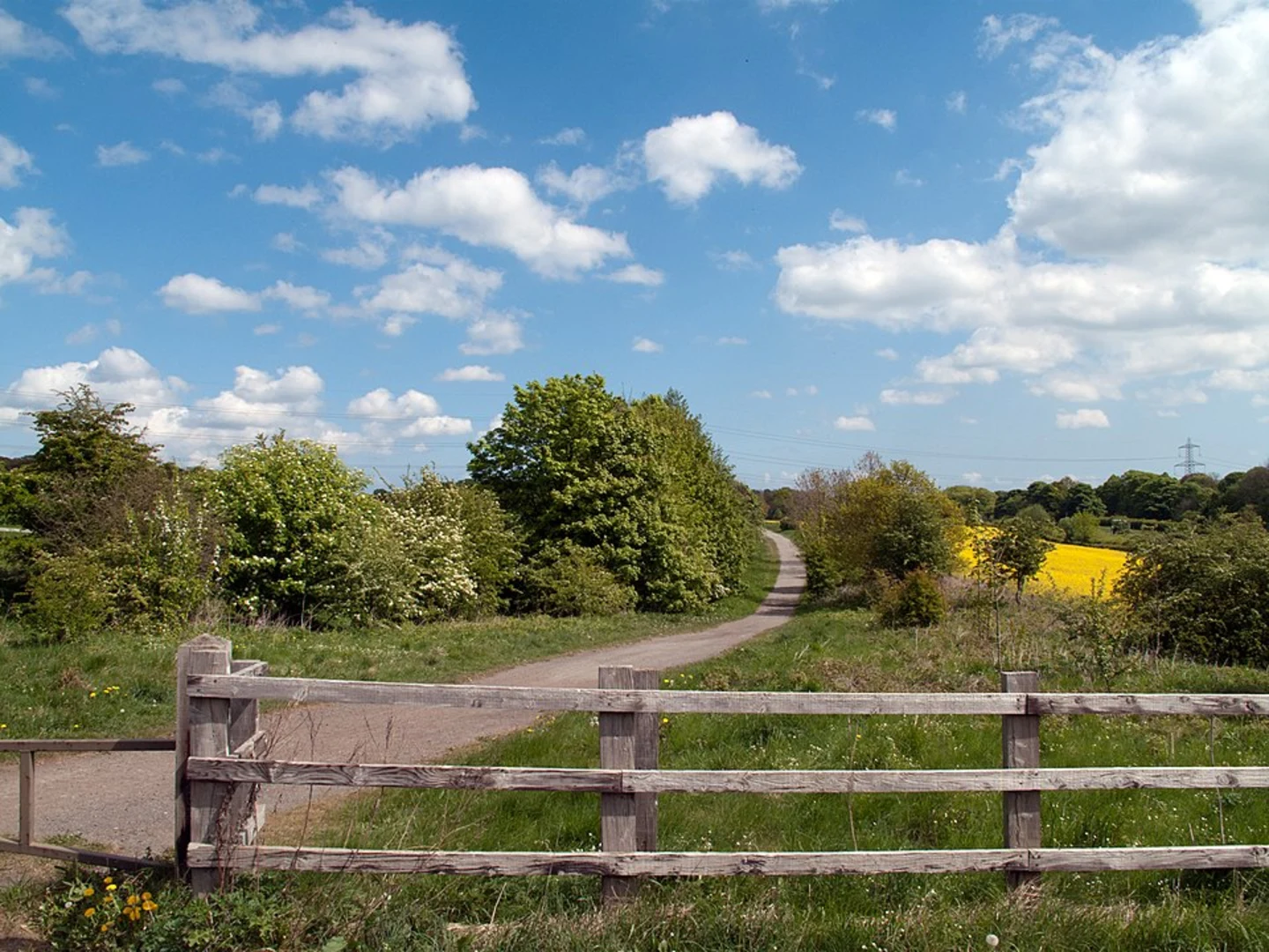 An image depicting the trail Brandon Loop and its surrounding area.