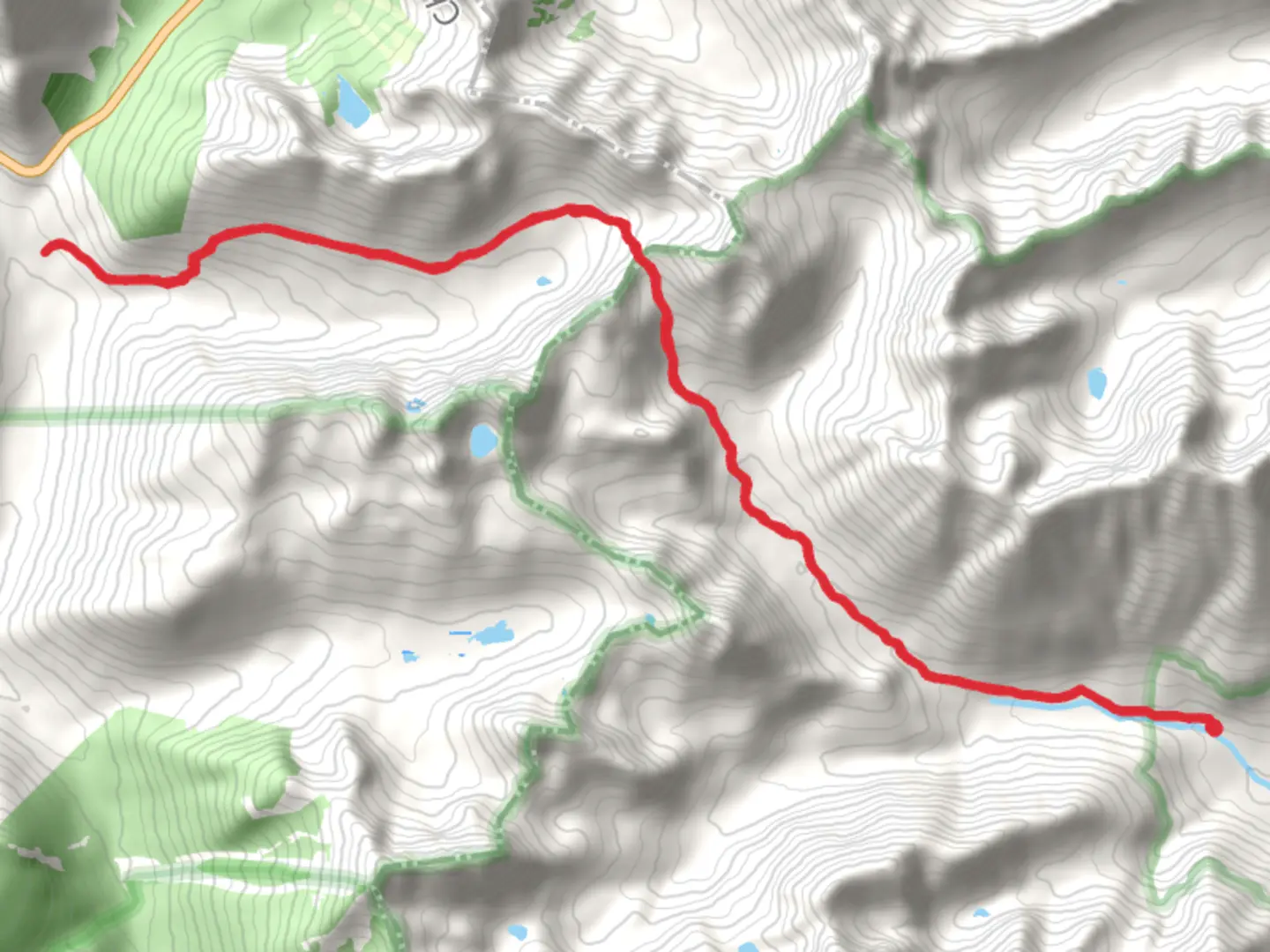 An image depicting the trail Copper Pass Trail via Twisp Pass Trail and its surrounding area.