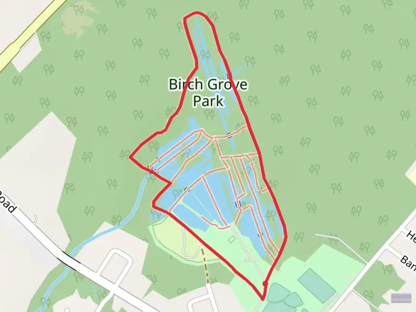 An image depicting the trail Birch Grove Park Loop and its surrounding area.