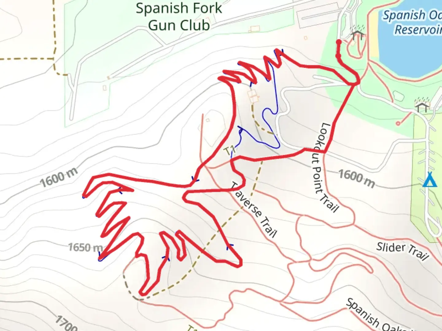 An image depicting the trail Red Knoll Run Downhill Trail and Red Knoll Run Uphill Trail and its surrounding area.