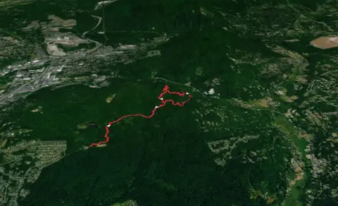 Shy Bear Trail, Wilderness Cliffs Trail and Whittaker Wilderness Peak Trail