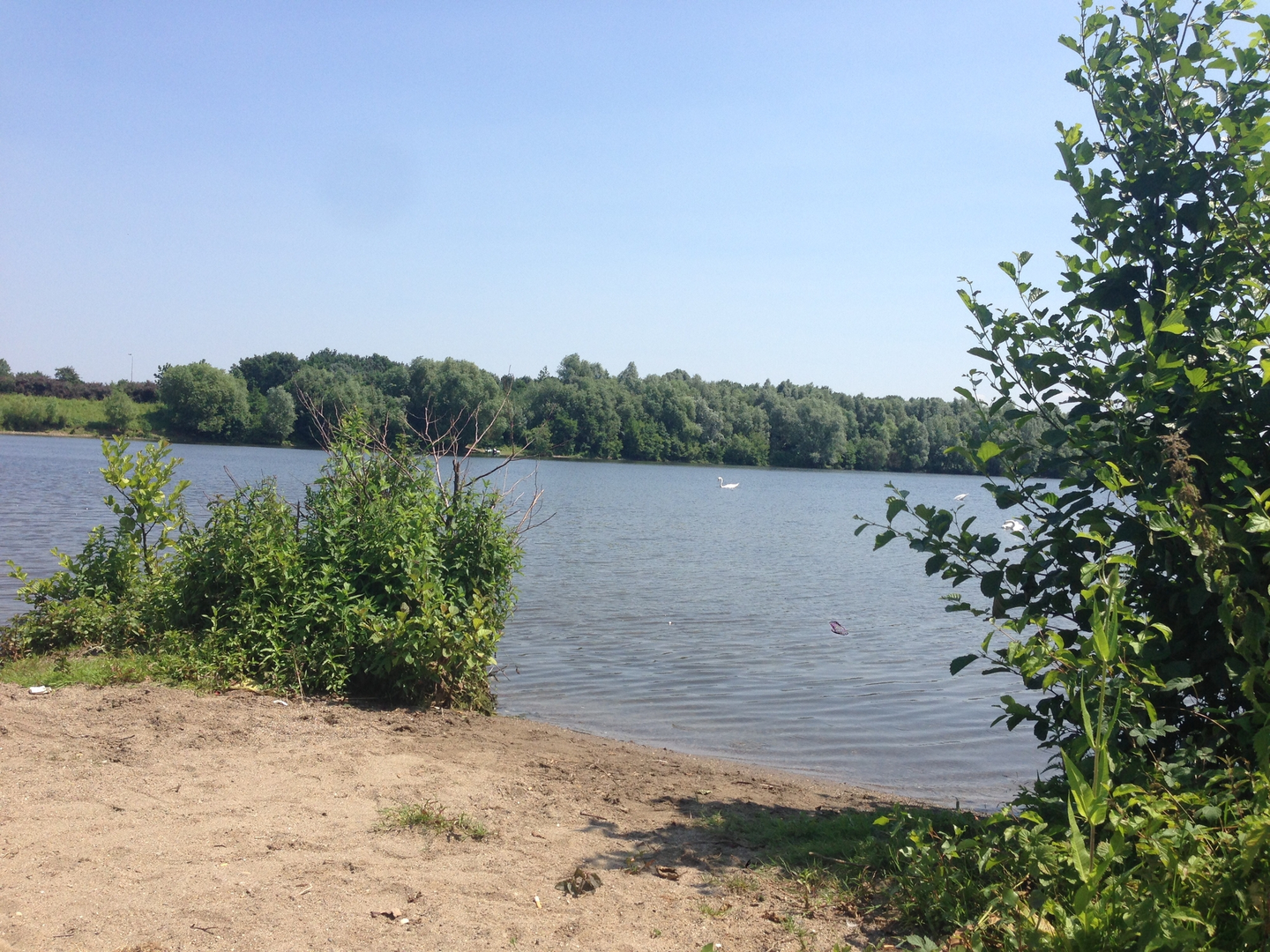 An image depicting the trail Maas and Albertkanaal via Dutch Mountain Trail and its surrounding area.