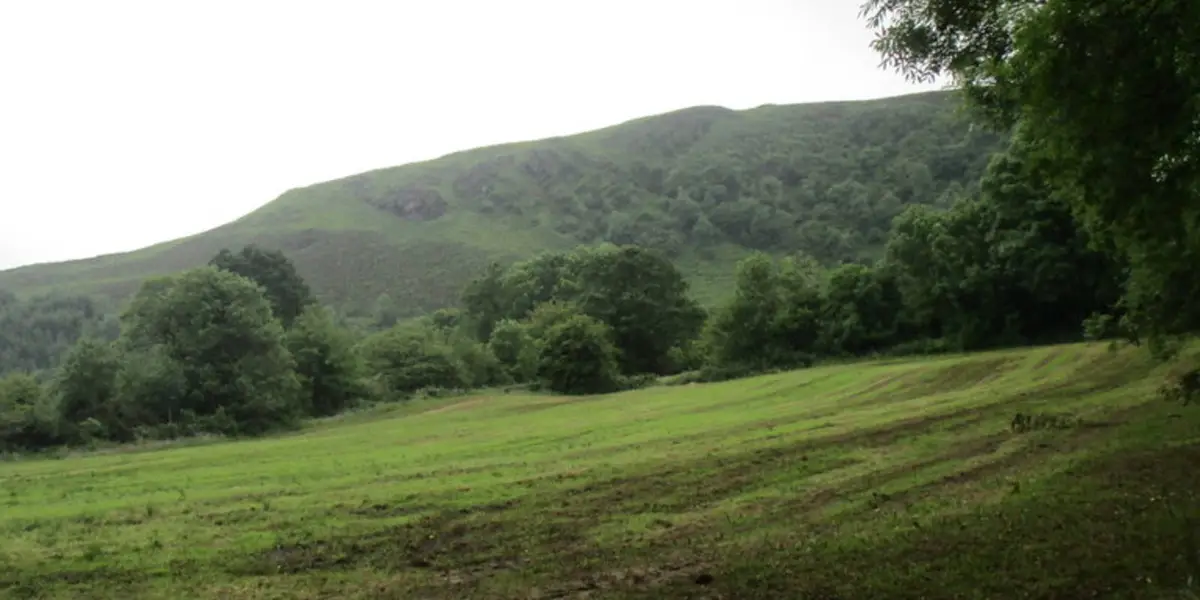 Claragh Loop - Millstreet