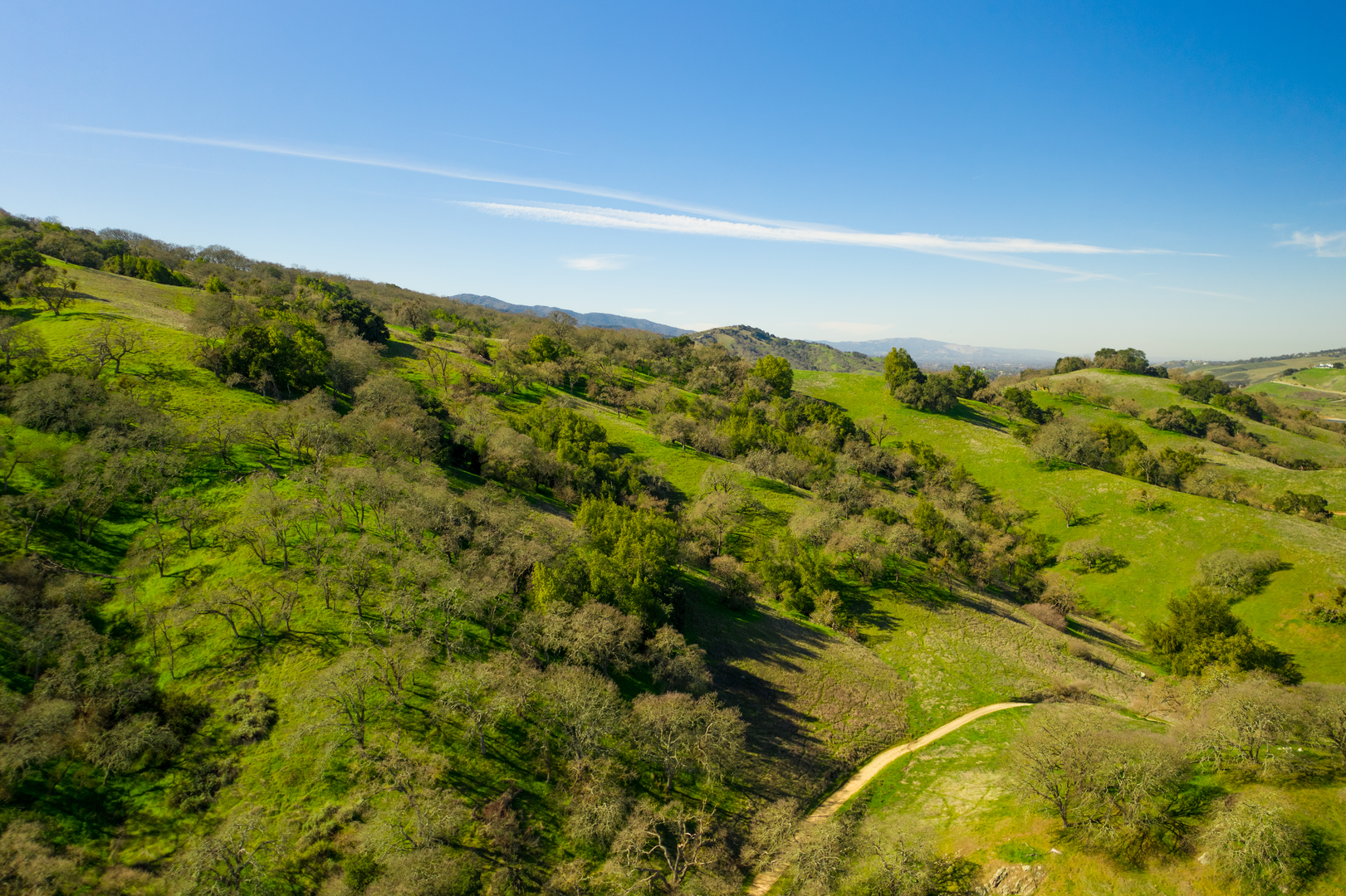 An image depicting the trail Oak Cove Trail, Figueroa Trail and Pena Trail Loop and its surrounding area.