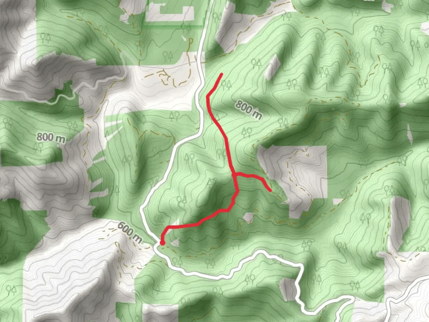 An image depicting the trail Secret Way Trail and its surrounding area.