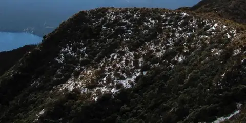 An image depicting the trail Mount Tuhua Track and its surrounding area.