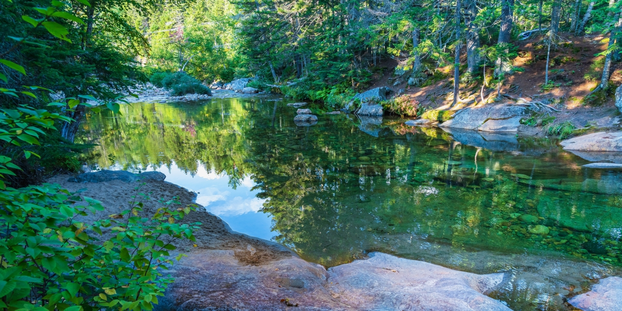 An image depicting the trail Ammonoosuc Lake Loop and its surrounding area.