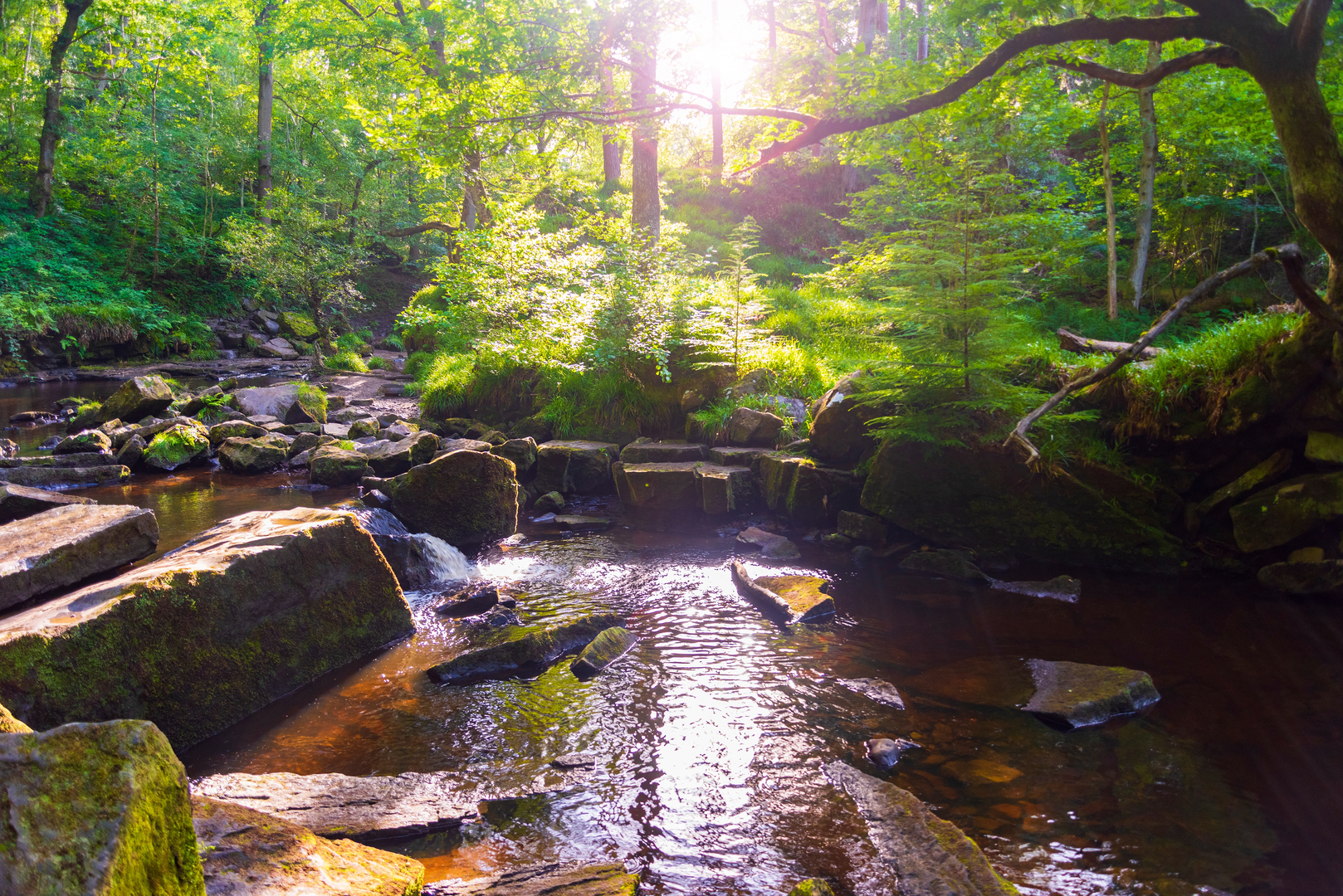 An image depicting the trail Goathland Moors and Waterfalls and its surrounding area.