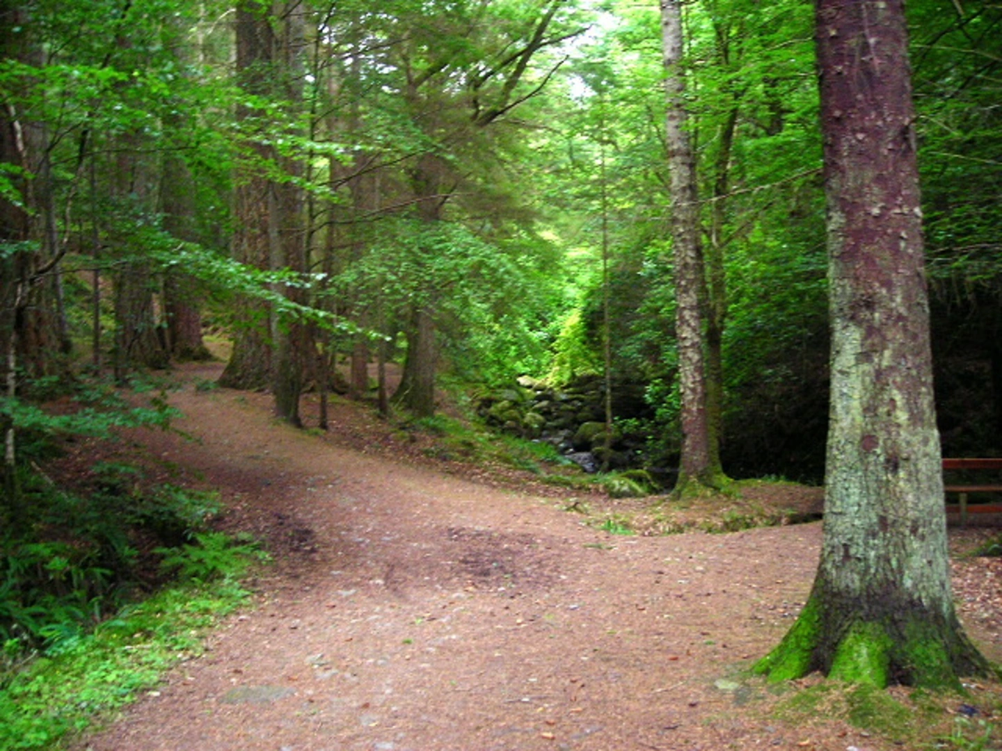 An image depicting the trail Gorge Loop - Barcaldine and its surrounding area.