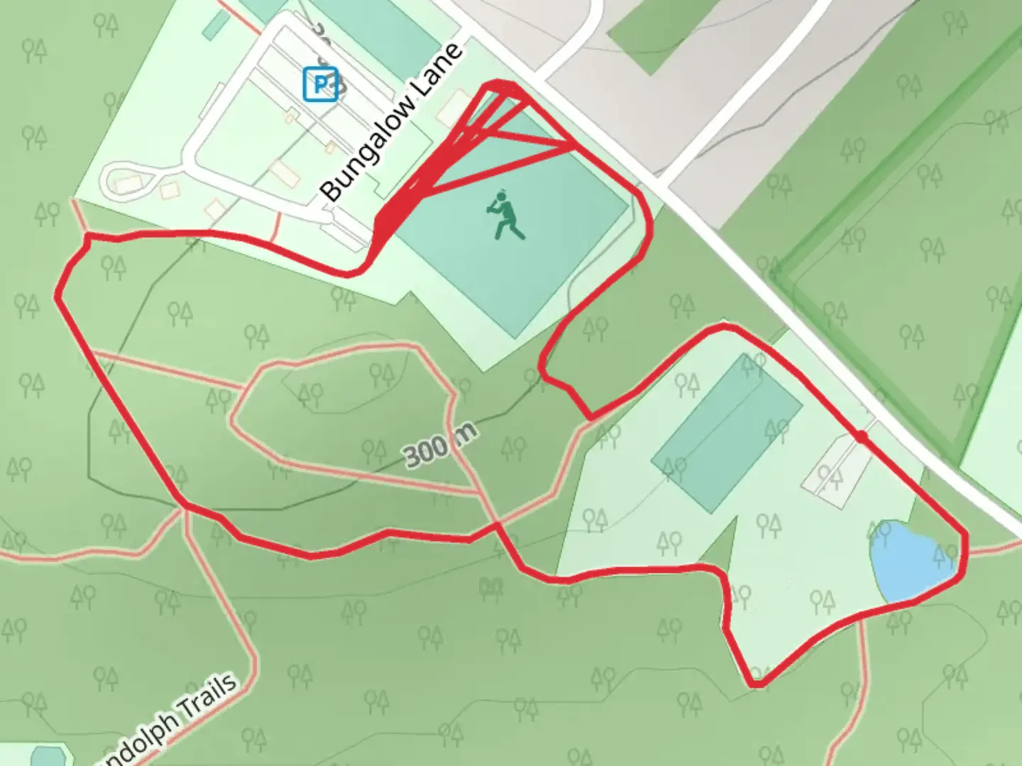 An image depicting the trail Carrell Road Loop and its surrounding area.