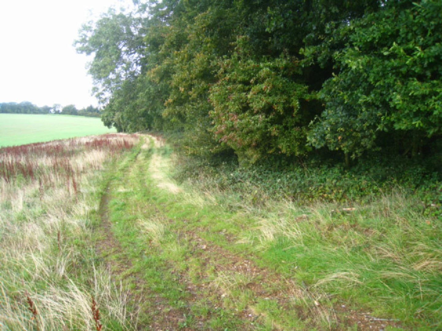 An image depicting the trail Burkham to Bradley and Ashley Loop via Home Farm and its surrounding area.