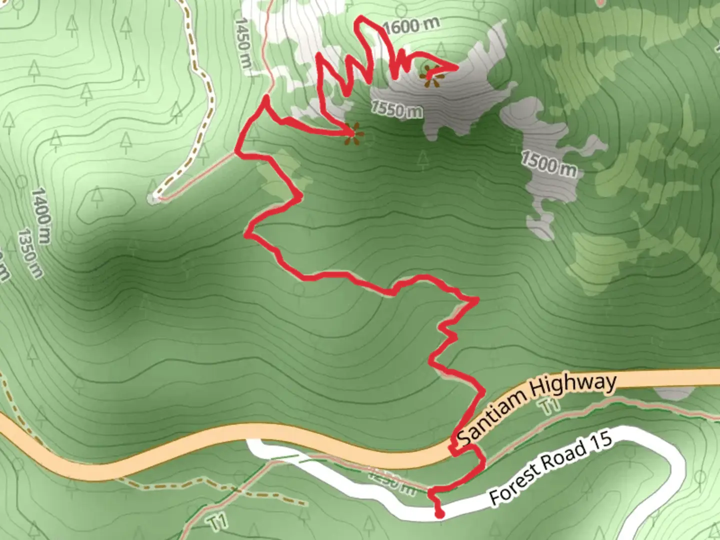 An image depicting the trail Iron Mountain Lookout via Iron Mountain Trail and its surrounding area.