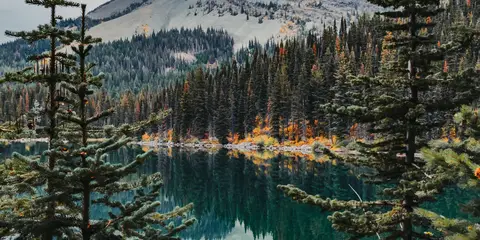 An image depicting the trail Swift Current Loop and its surrounding area.