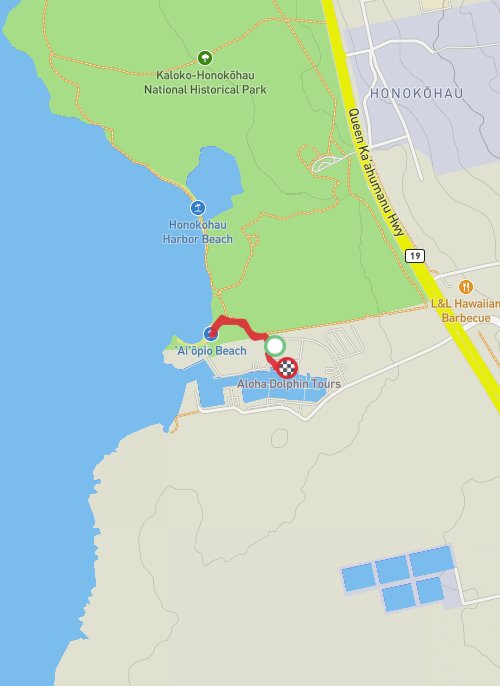 A map preview of the recording Hike on 24-06-2024 11:54 AM.