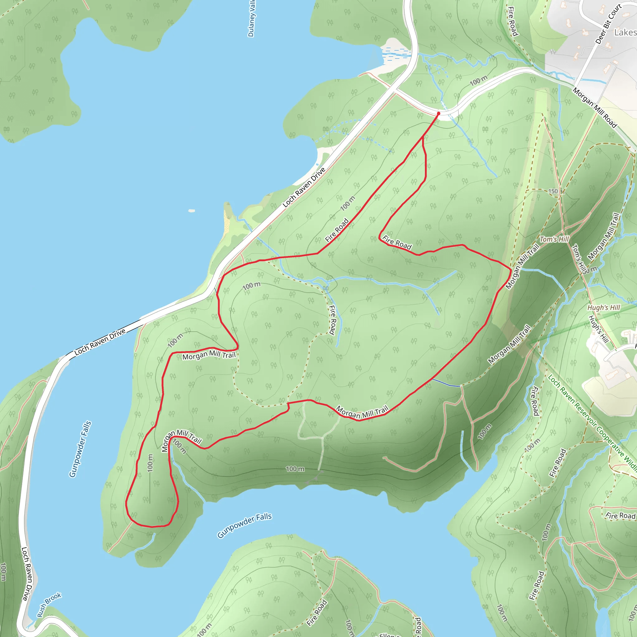 Morgan Mill Loop Trail mobile static map