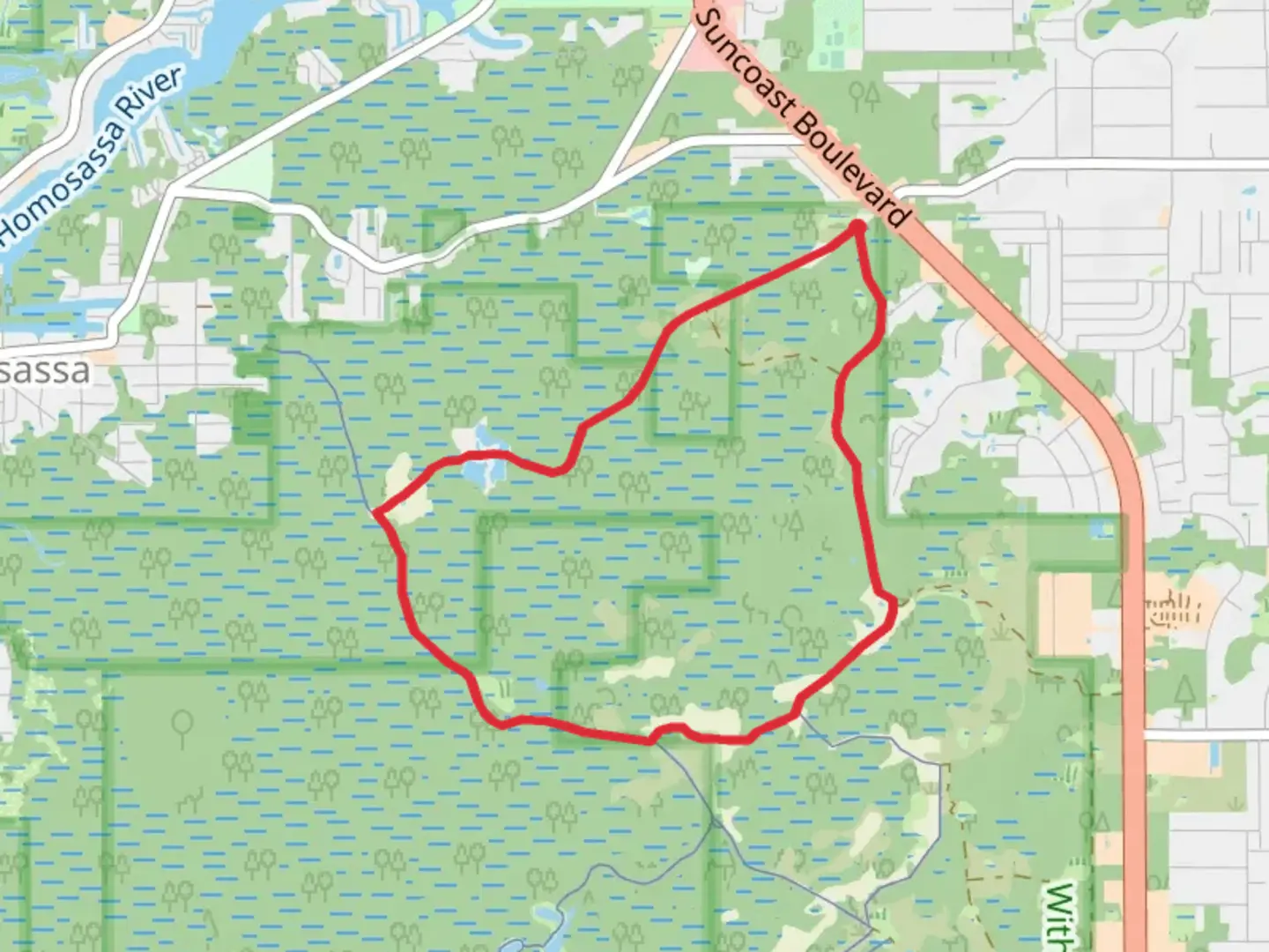 An image depicting the trail Hog Ponds Loop and its surrounding area.