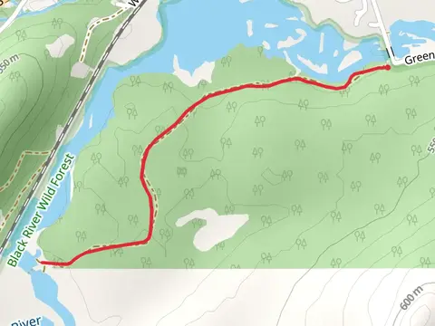 Middle Branch Moose River - Green Bridge Road